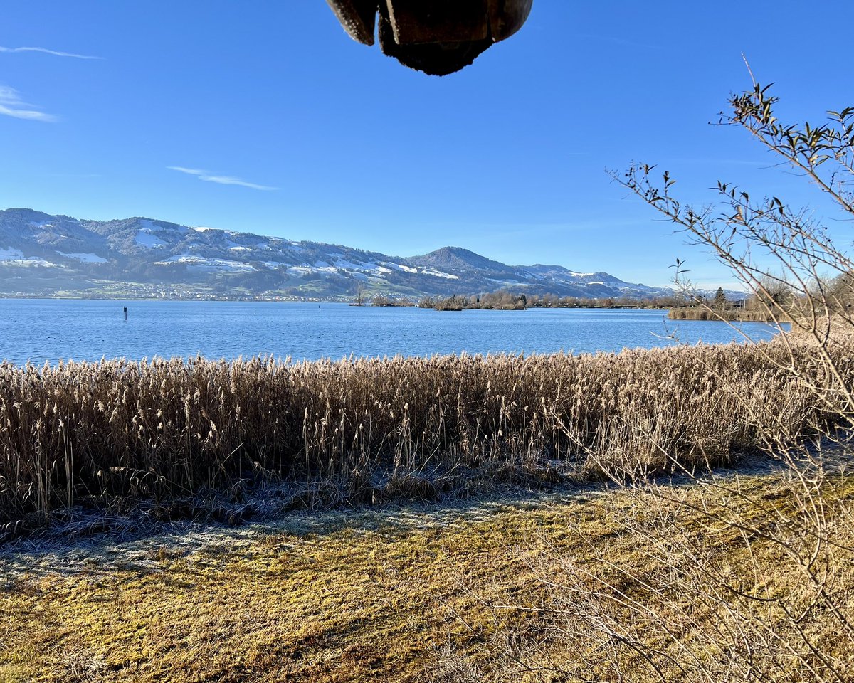 Was will man mehr, als wenn die Natur nur wenige Gehminuten vom Zuhause entfernt beginnt ? - “Bei jedem Spaziergang in der Natur erhält man weit mehr, als man sucht“ (John Muir)
#wandern #hiking #spazieren #walk #rapperswiljona #jonerallmeind