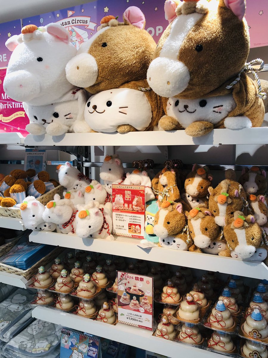 ＼\  本日オープン /／
🎪#しろたん POP UP STORE🎪
⭐25/12/6(土)～12/17(水)
⭐#ルミネエスト新宿 B1 新宿駅中央東改札外

かわいいお店の様子をお届け📸✨
お買い上げ特典は「ステッカー」🎁

🎈marimocraft.co.jp/event/st1206/