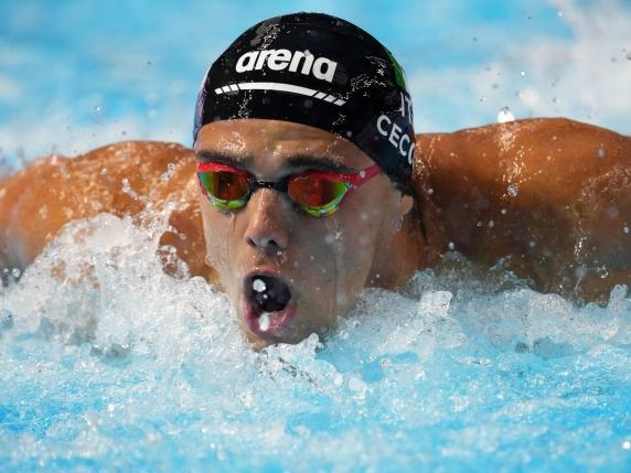 Infofatti's tweet photo. Europei in vasca corta, #Ceccon fenomenale: è medaglia d'oro nei 100 dorso, #Quadarella d'argento negli 800 stile. Per la prima volta nella storia degli Europei di nuoto in vasca corta l'Italia vince la medaglia d'oro nei 100 dorso https://t.co/YIBzzvzGrd