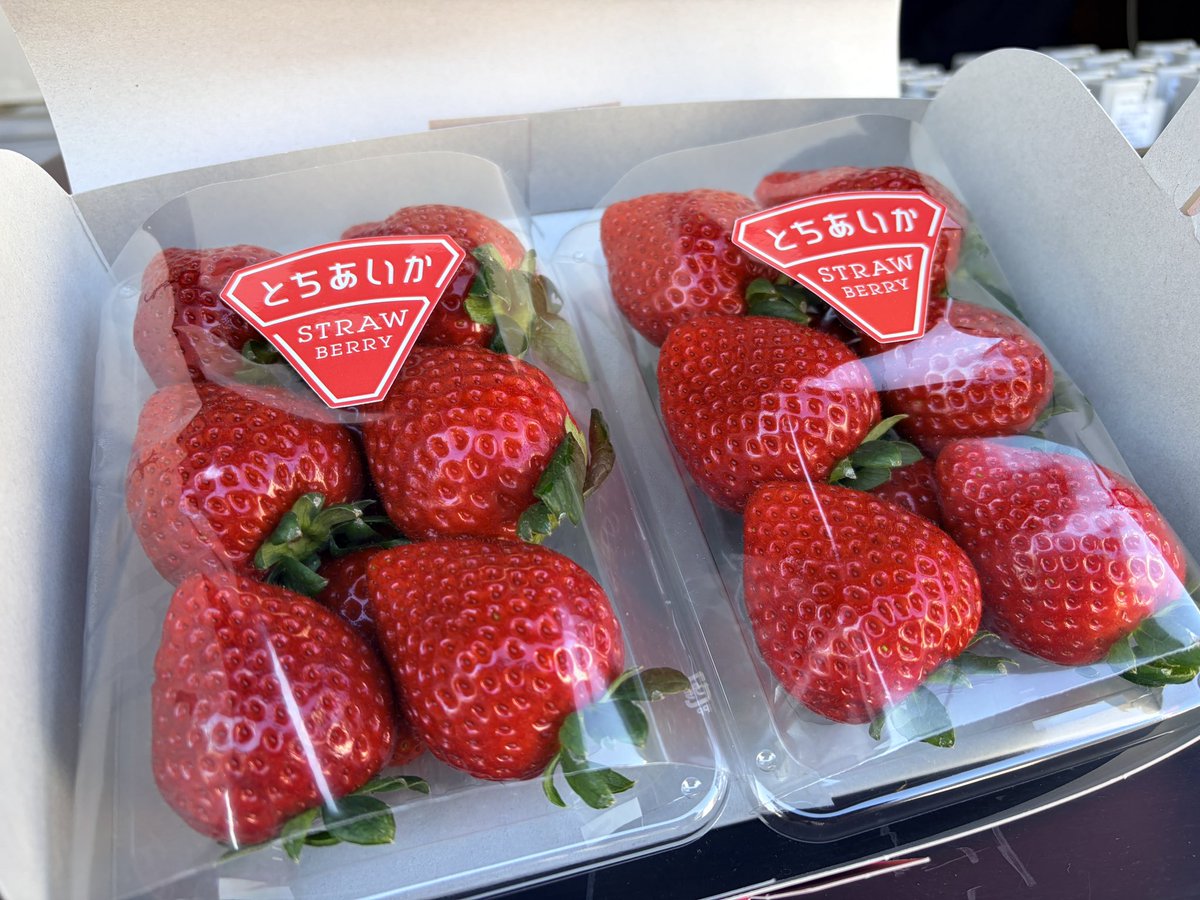 いちご🍓美味しすぎました😋🤤💓