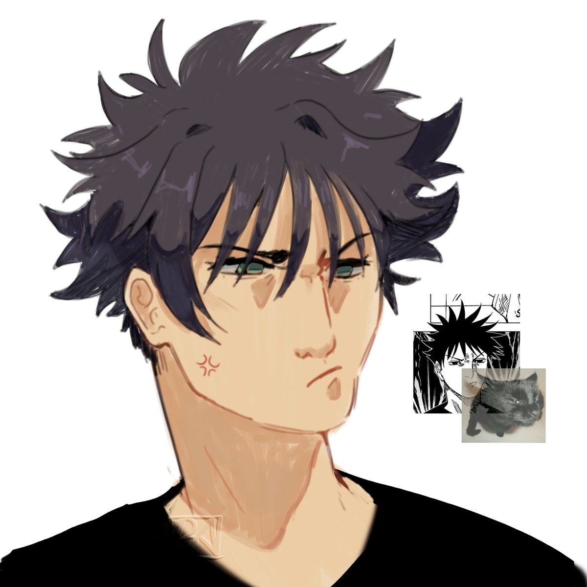 drawing of that one megumi face
angry cat
#fushiguromegumi