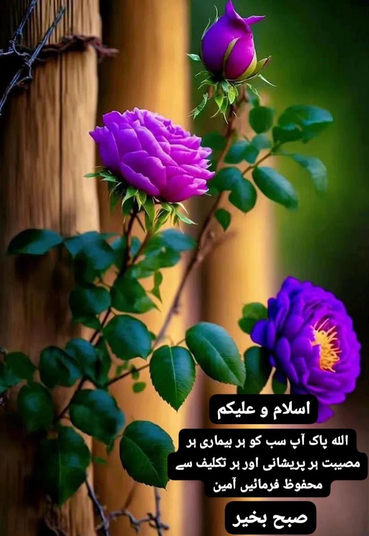 السلام علیکم ورحمتہ اللہ وبرکاتہ

اللہ تعالیٰ تمام دوستوں اور عمران کو صحت، تندرستی اور خوشیوں بھری طویل زندگی عطا فرمائے آمین ۔ ہمیشـہ شاد و آباد رہیں