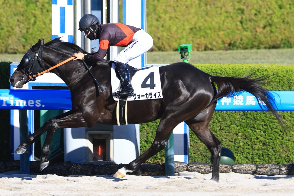 JRAVAN_info's tweet image. 阪神2R 2歳未勝利 4番ヴォーカライズはスタートから一度も先頭を譲らず快勝‼️🙌