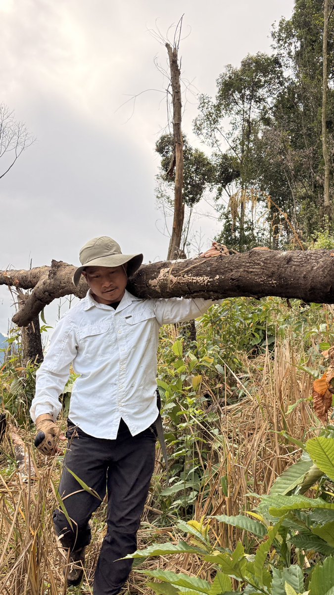 sangnoamar's tweet photo. Back to roots.
#WeshiVillage
#FirewoodCollection https://t.co/gdME2VMmTS