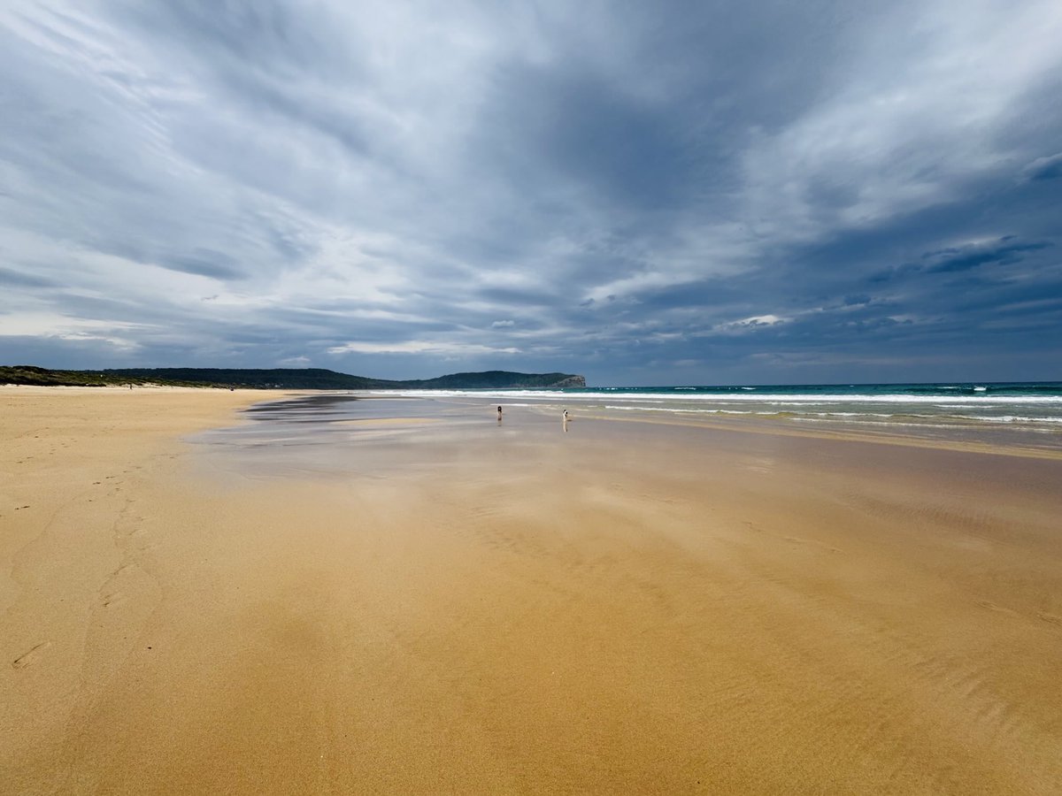Just me &amp; two pups at the beach 🐶 🐶