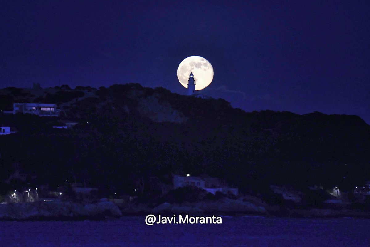 Javi Moranta tweet media