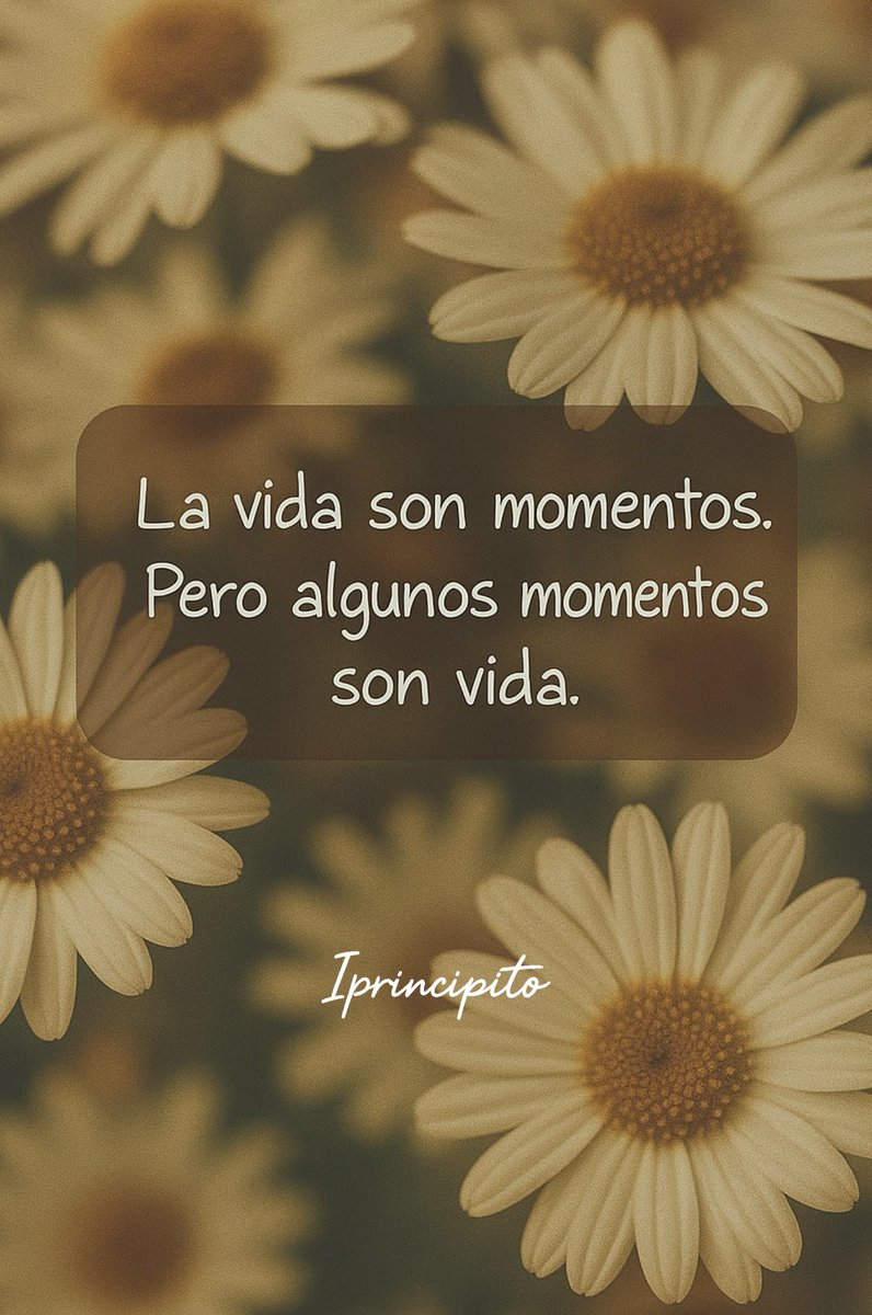 iPrincipito's tweet image. 📩💬