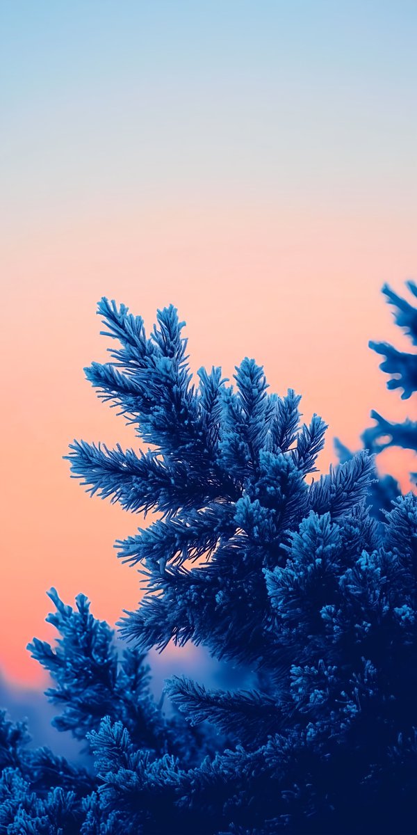 Hold to zoom → 4K 💫