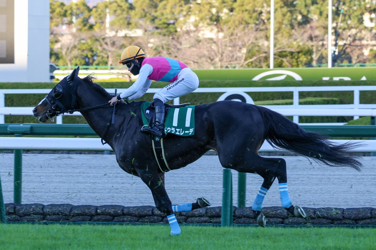 こん (@cont_soda) / Posts / X