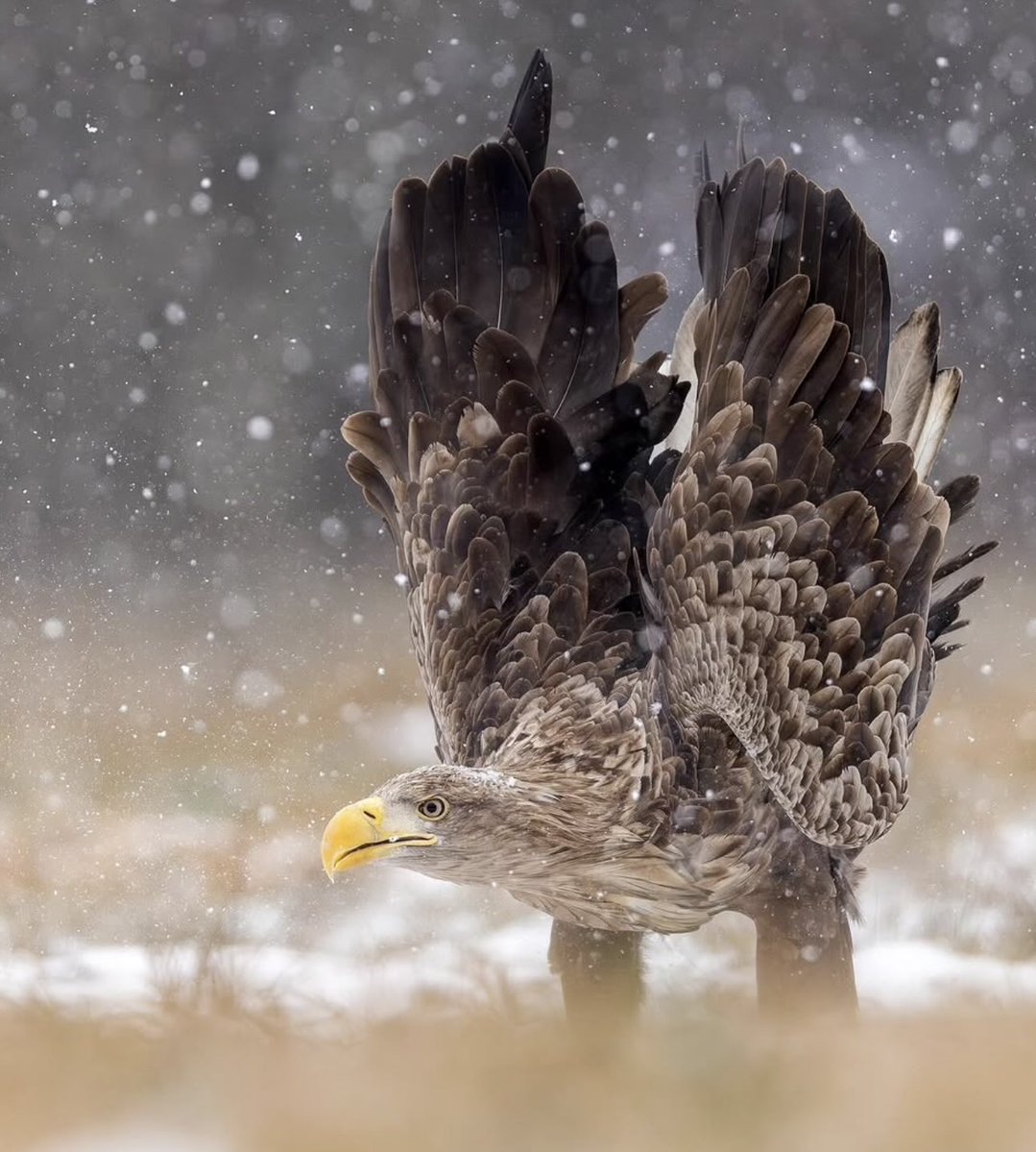 حين يعجزون عن مواجهتك وجهًا لوجه،
ولا يجدون إلا الظل طريقًا لضربك،
فاعلم أنّ قوتك بلغت حدًّا
لا يُقدر عليه الضعفاء في النور