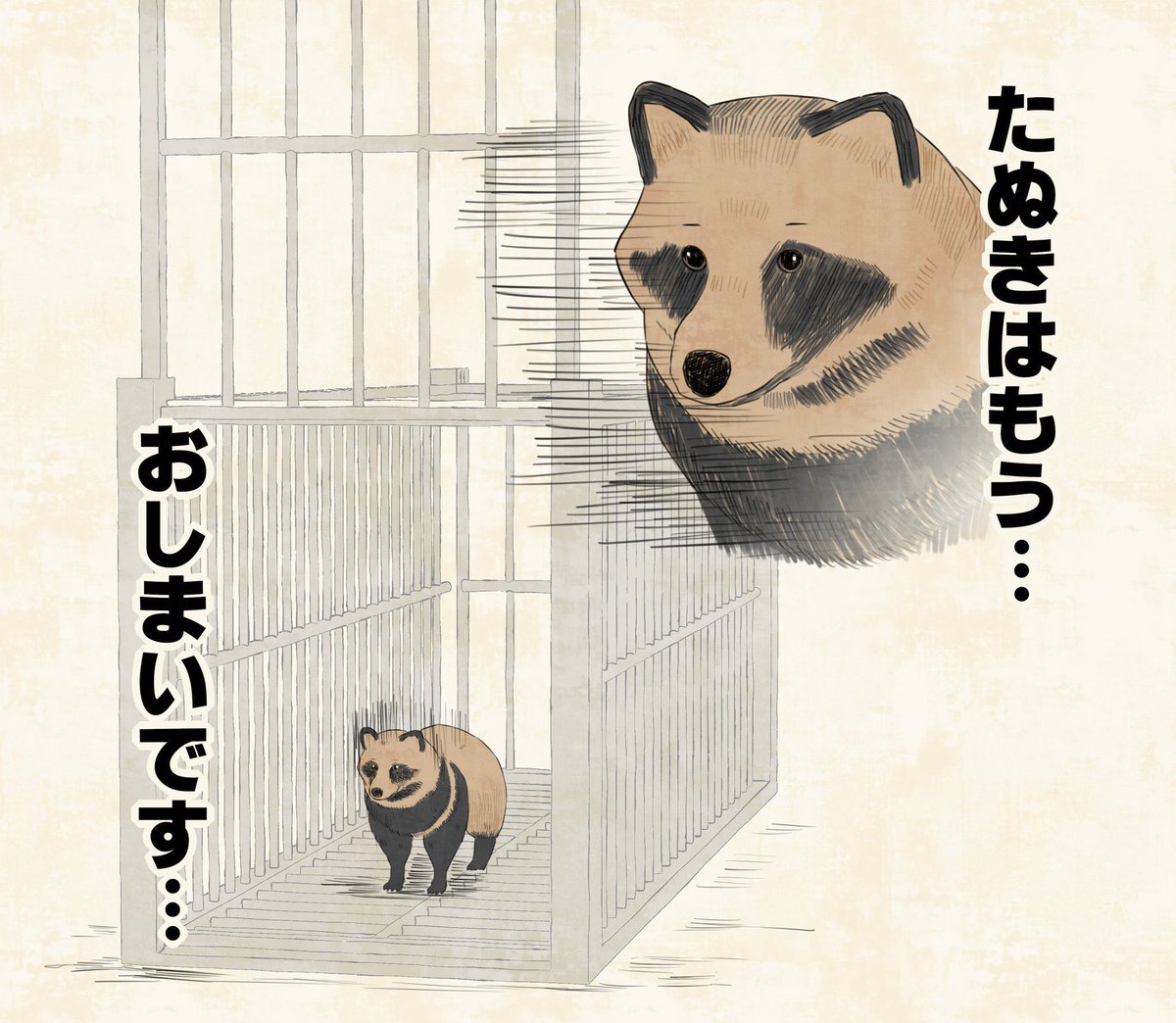 好きなたぬきさんエピソード 