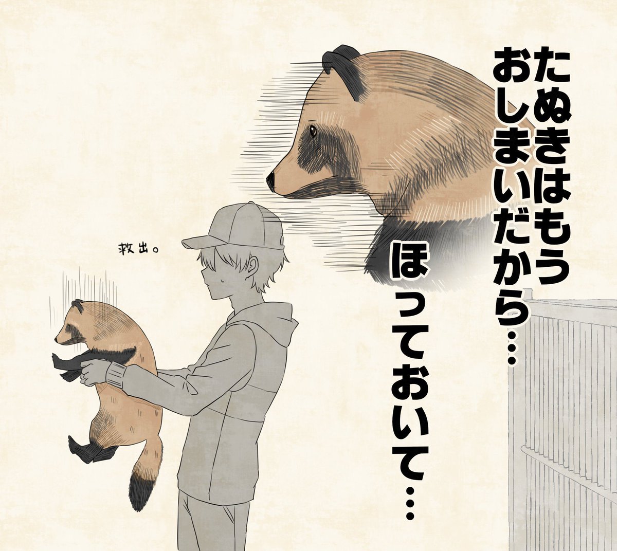 好きなたぬきさんエピソード 