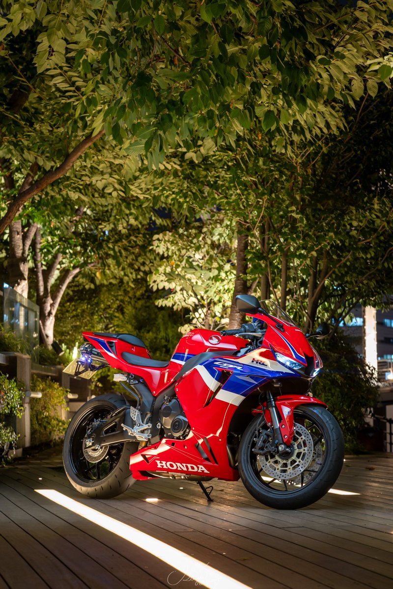 Rちゃん🪽CBR 600RR (@R_CHAN_25) / Posts / X