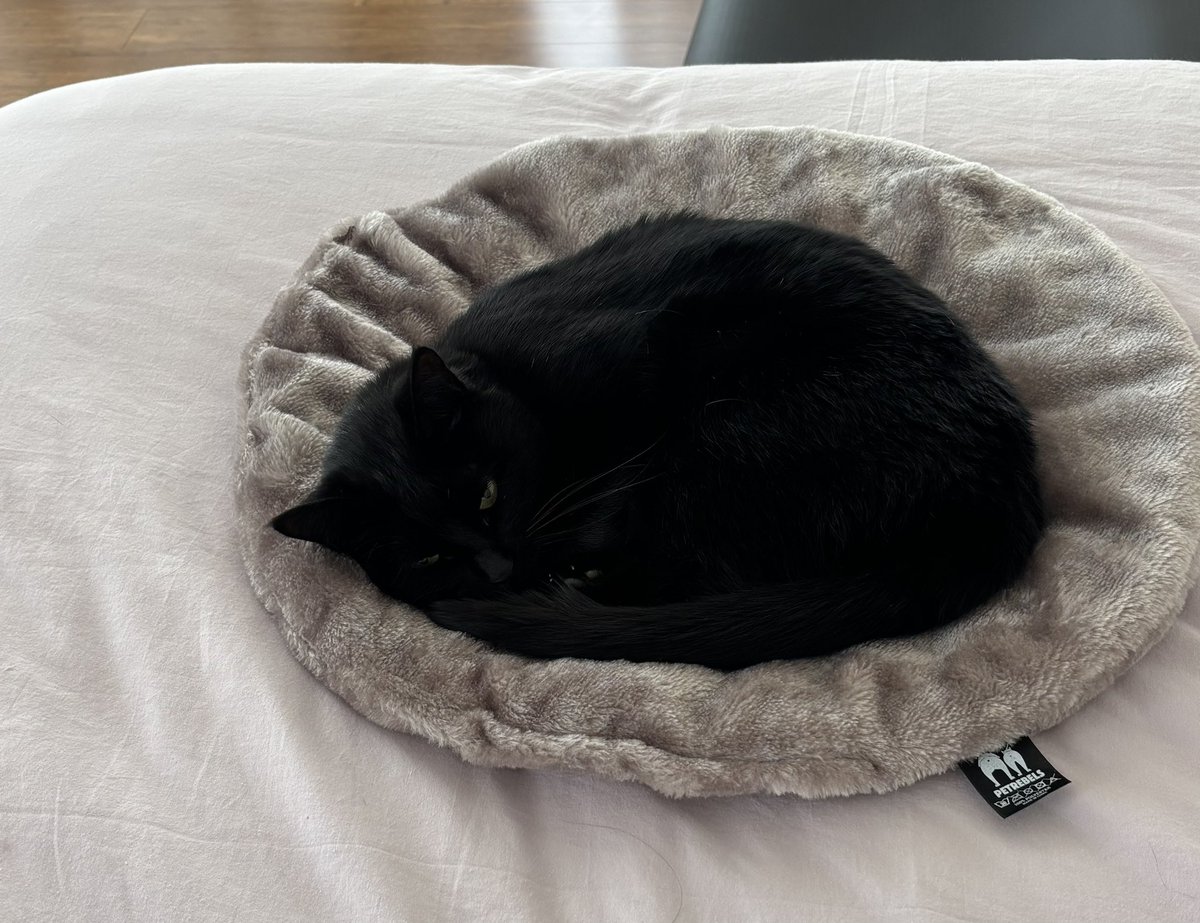 주가 2600을 기다리는 올바른 테슬라 장기투자자의 자세.