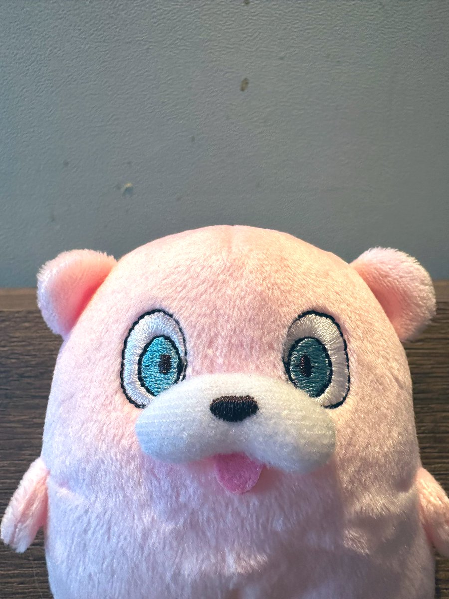 ハナコロ (@hanacoiwa) / Posts / X