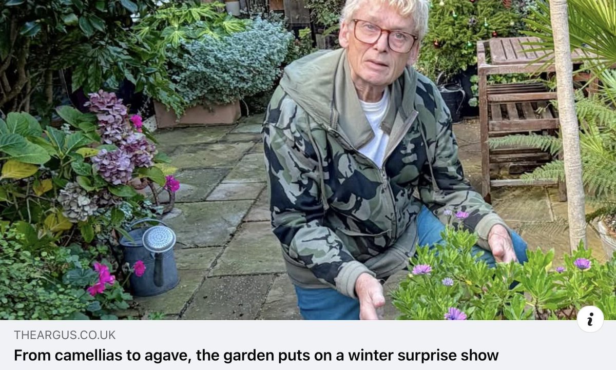 Check out this week's regular gardening feature in <a href="/brightonargus/">Brighton Argus</a>  both in print and online. theargus.co.uk/news/25675251.… #sussex #gardening