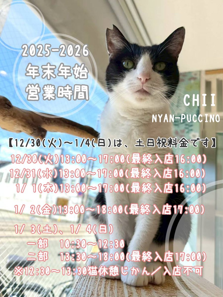 就労継続支援B型 保護猫カフェ にゃんプチーノ (@nyan_puccino