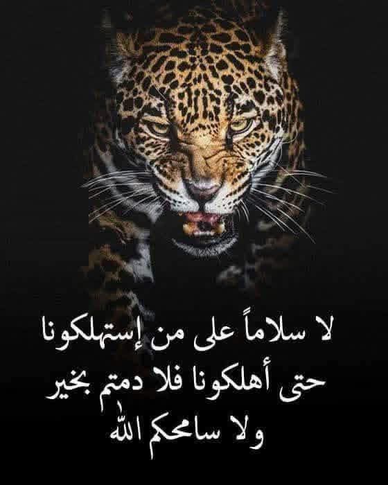 "ضعهم يا الله في نفس الموقف، ونفس الشعور، ونفس الإحساس، 
عدلاً وليس حقداً ."...
