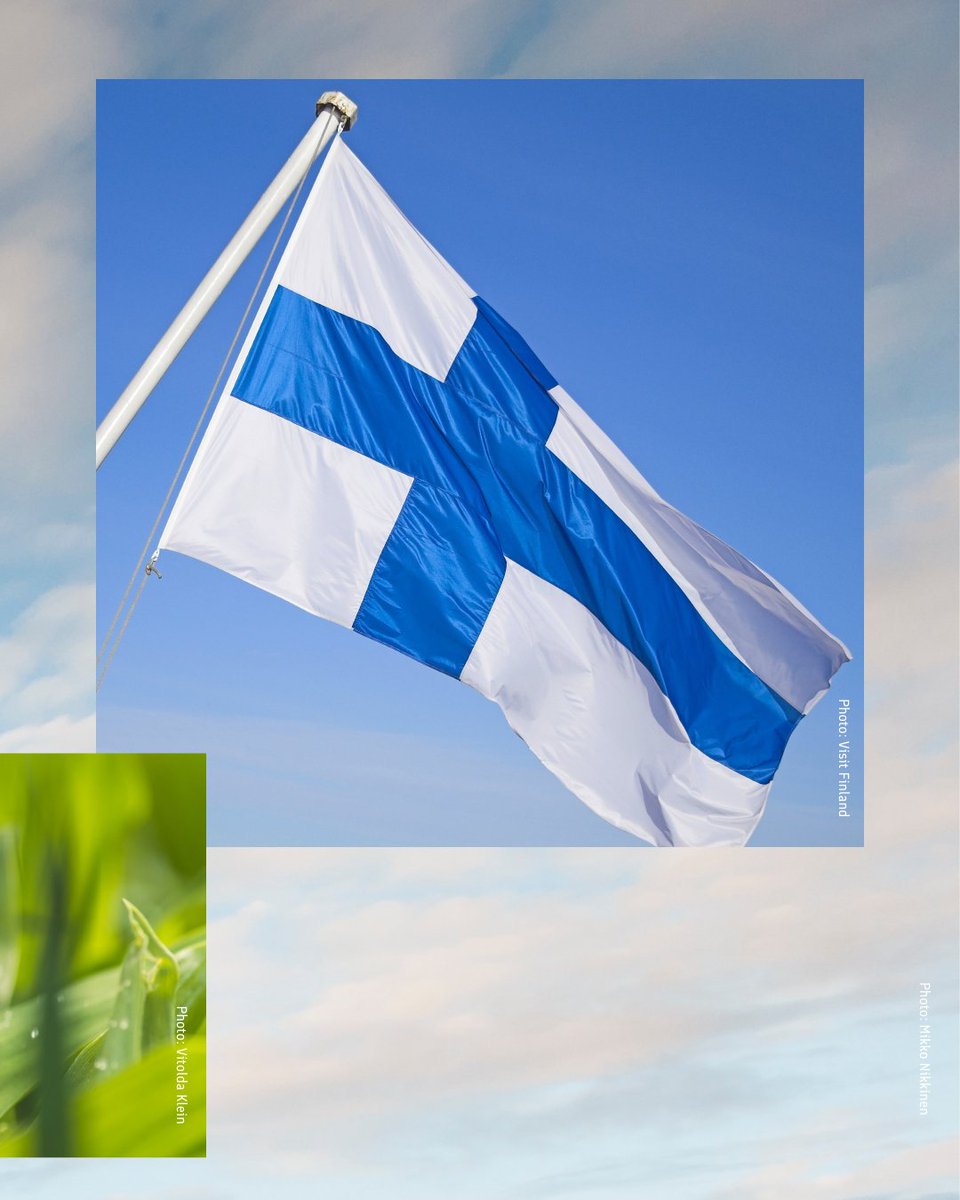 Fin Embassy Brussels tweet media