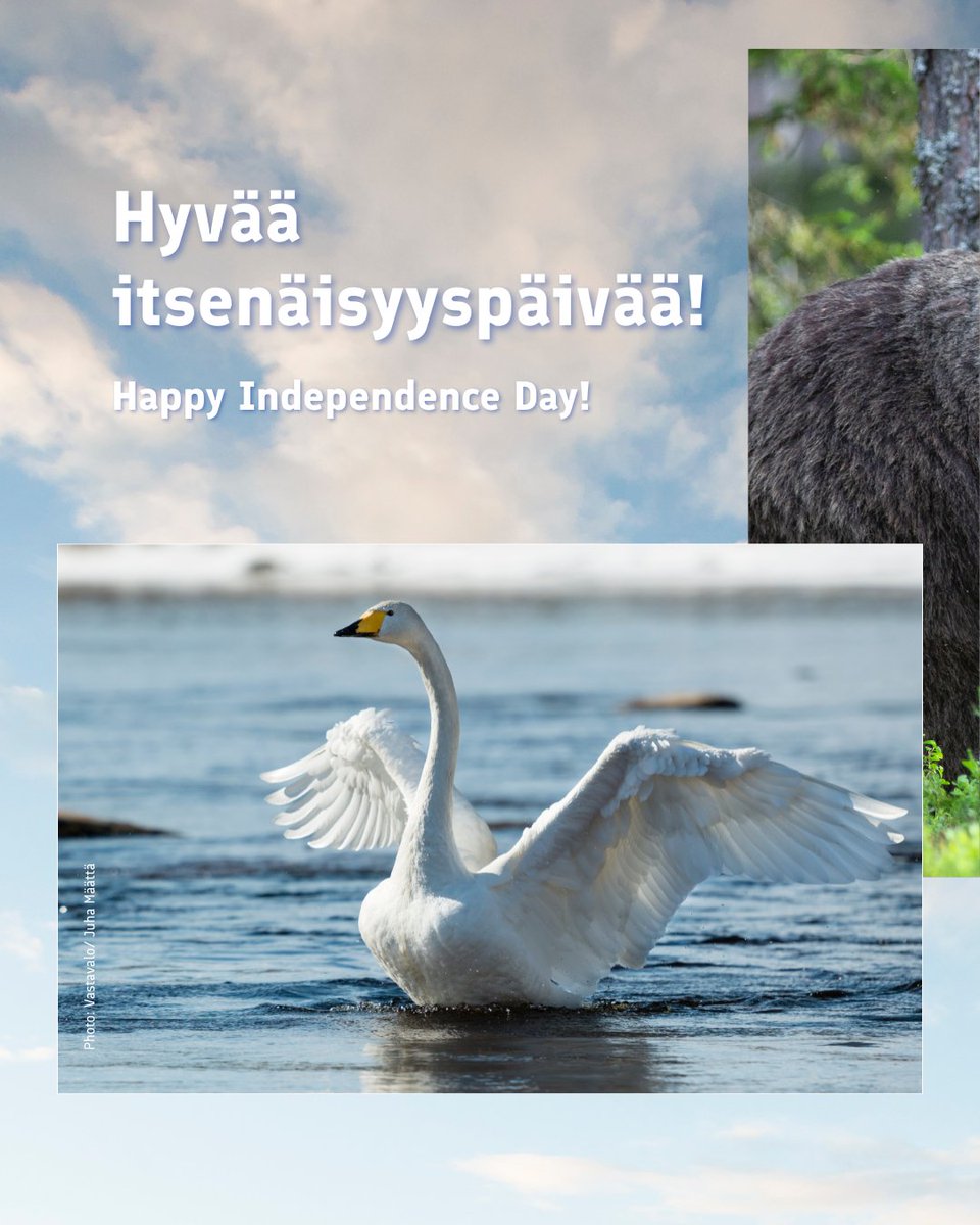 Fin Embassy Brussels tweet media