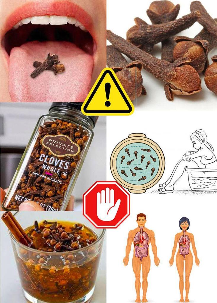 Herbalisque's tweet photo. Contraindications of Cloves — Who Should Not Consume Them and Why

Cloves are celebrated in many herbal traditions for their warm aroma and natural vitality. Yet, like all strong botanicals, they deserve careful use. Their concentrated oils and active compounds mean they offer benefits when used wisely, but they may not suit everyone. Understanding who should avoid them helps ensure clove remains a safe and supportive part of natural wellness.

People with stomach sensitivity
Cloves are naturally warming and stimulating. For some individuals with very sensitive digestion, they may cause discomfort when taken in strong doses or on an empty stomach. Mild culinary use is usually well tolerated, but concentrated forms such as essential oil or strong teas may irritate a delicate stomach.

Individuals with bleeding tendencies
Cloves contain compounds that can naturally influence blood fluidity. Anyone with a known bleeding disorder or anyone advised by a health professional to avoid such effects should use cloves cautiously and preferably only in culinary amounts.

People taking blood thinning medication
Those using medication that affects blood clotting should avoid concentrated clove preparations, because the herb’s natural properties may interact with such medicines. Culinary use is generally considered minimal, but stronger forms should be avoided unless approved by a health professional.

Pregnant individuals
Traditional herbal practice often recommends moderation during pregnancy. Strong clove teas, extracts, and oils are usually avoided because of their stimulating nature. Light culinary use is typically acceptable, but concentrated forms should not be used without professional guidance.

Young children
Because cloves are potent, strong teas and oils are not recommended for small children. The herb may be too intense for their systems. If used at all, it should be strictly limited to mild food seasoning.

People with allergies to aromatic spices
Anyone who reacts to spices such as cinnamon, bay leaf, or allspice may also be sensitive to cloves. Herbal wisdom encourages avoiding the herb entirely in such cases.

Clove essential oil
Essential oil is the most concentrated form of the plant. It should never be taken internally without professional supervision and should always be diluted if used externally. Direct application or ingestion can be harsh and may irritate the skin or mouth.

A mindful approach keeps cloves within safe and beneficial limits. They remain a treasured herbal spice when used with respect, moderation, and awareness of personal health needs.