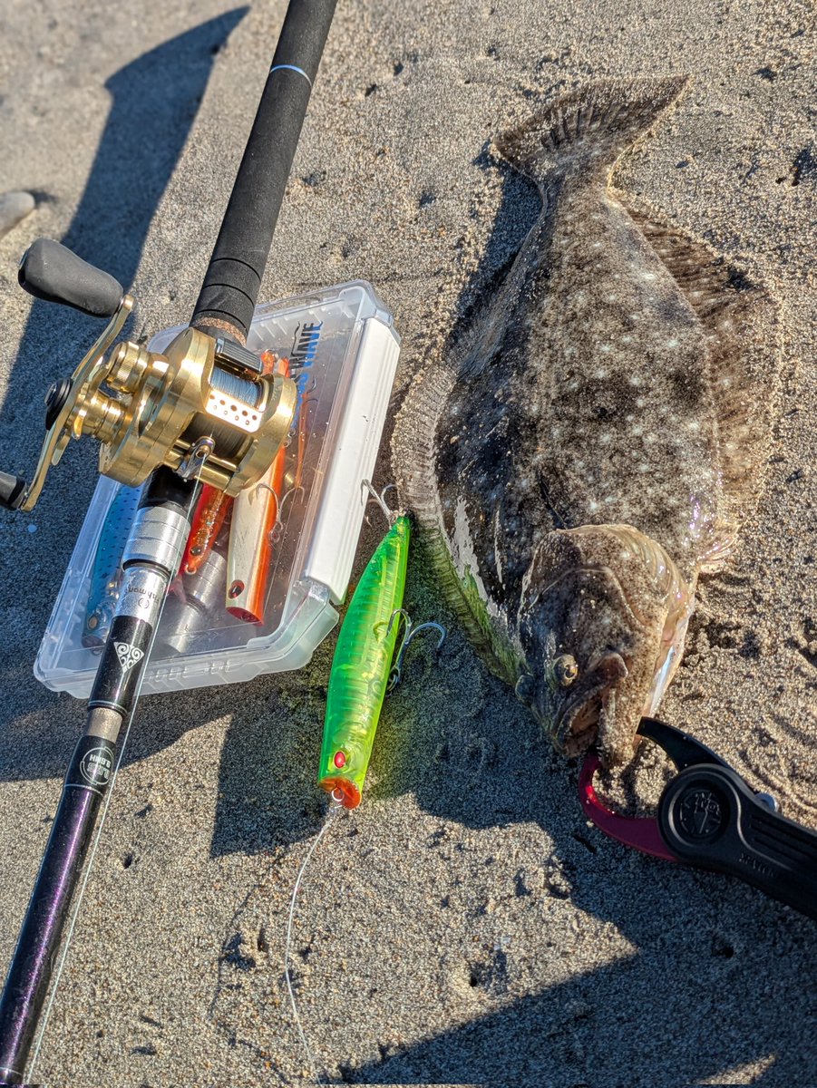 ky31647303's tweet photo. ニュータックルの入魂はソゲでした。

#fishman #bc5 #96mh
#アダスタ #ゼルファス133f https://t.co/HIAli5a0RN
