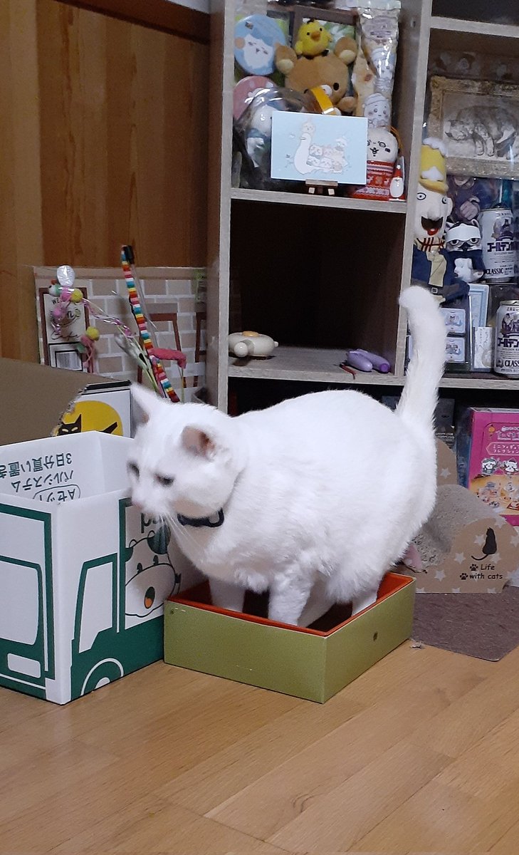 はるるん (@RNPrJ9xfX3PSoaA) / Posts / X