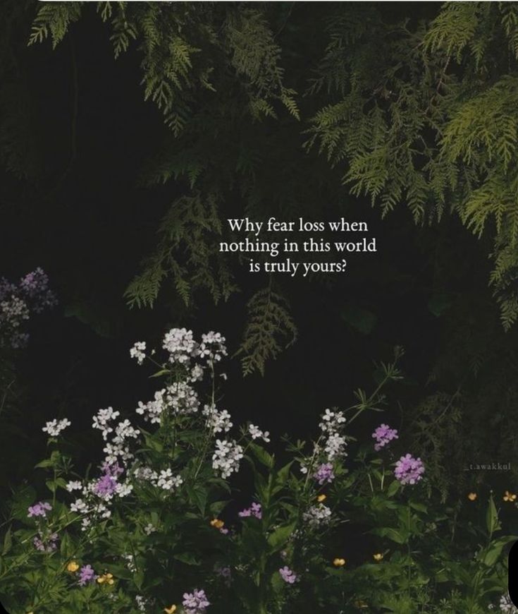 U m e . . (@iummer_21) on Twitter photo 