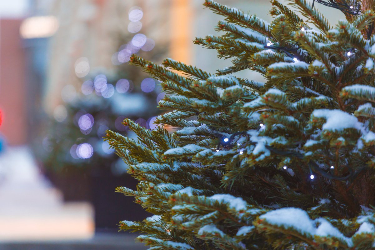 🎄  Штрафовать за новогоднюю елку будут нарушителей. Нарваться на штраф можно за вырубку деревьев без специального разрешения. Граждан могут наказать на 5 тыс. рублей. Юридические лица будут платить до 400 тыс. рублей.