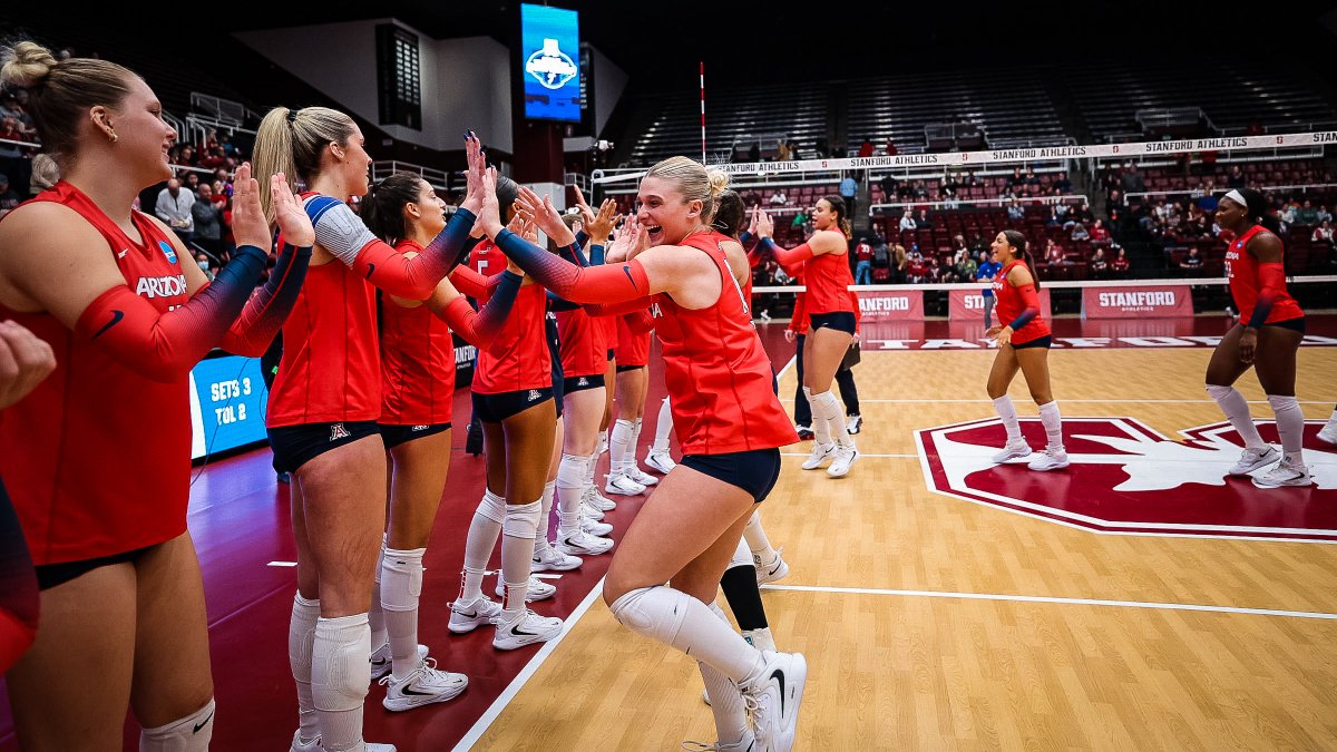 Arizona Volleyball tweet media