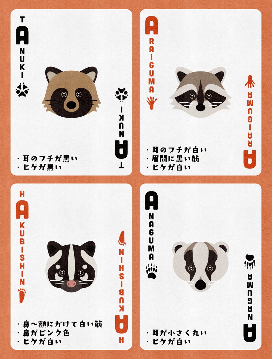 タヌキ・アライグマ・ハクビシン・アナグマの顔の違い🦝
モチーフはトランプです🃏