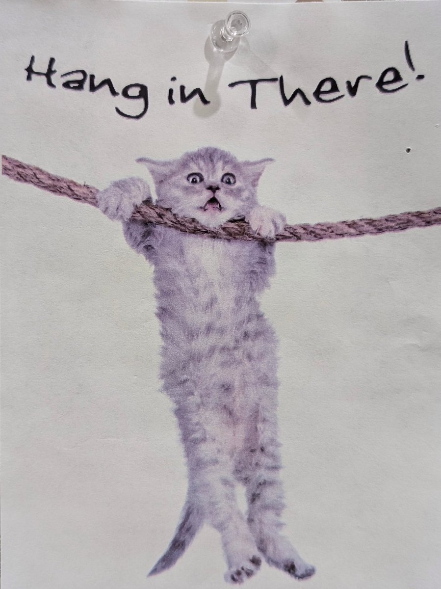 Vendetta tweet media