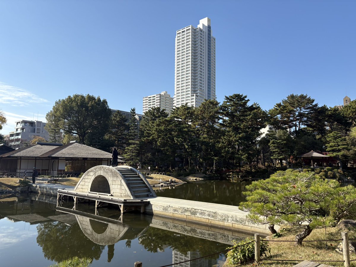 れん (@hanatogohanto) / Posts / X