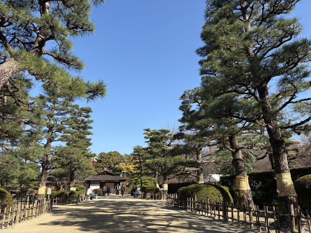 れん (@hanatogohanto) / Posts / X