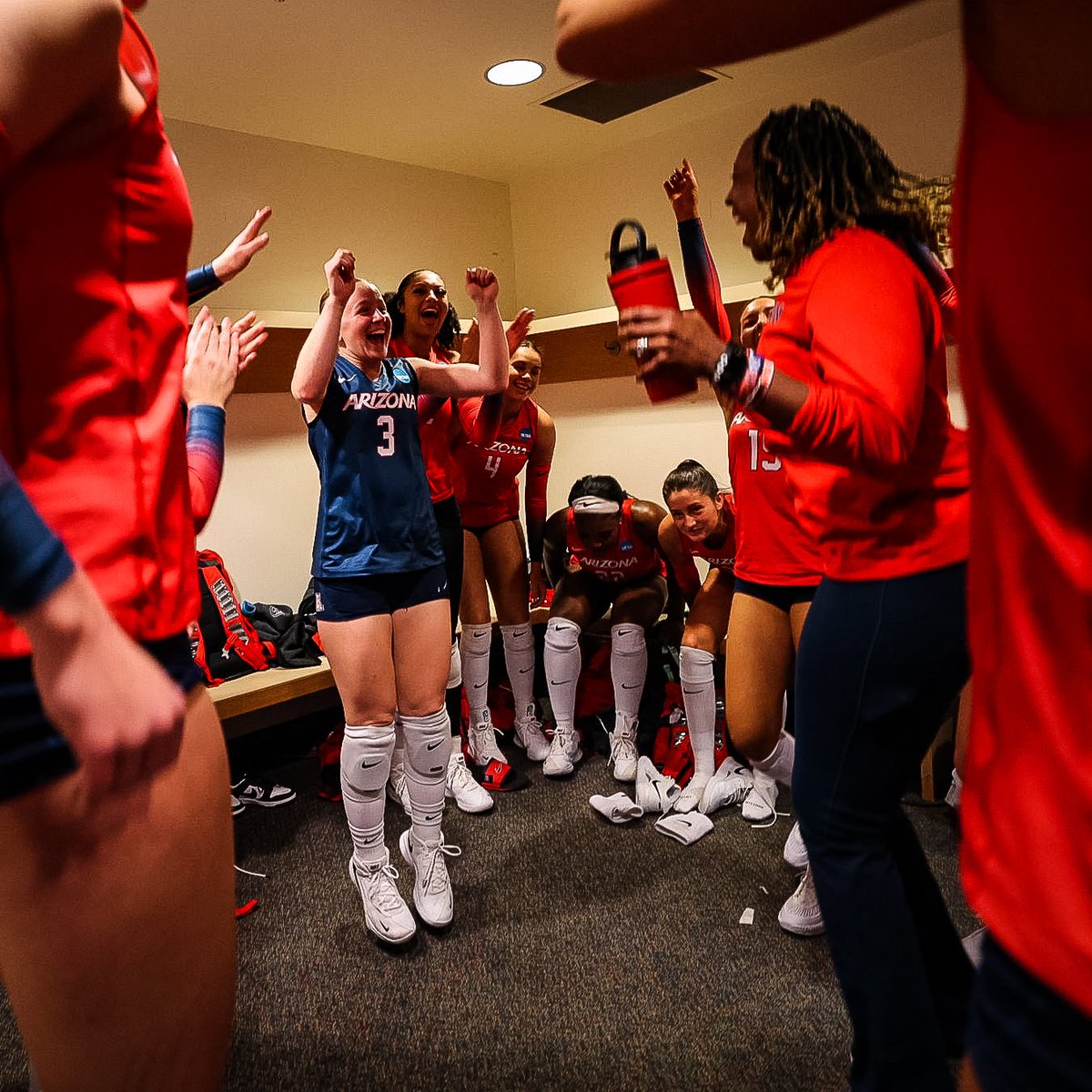 Arizona Volleyball tweet media