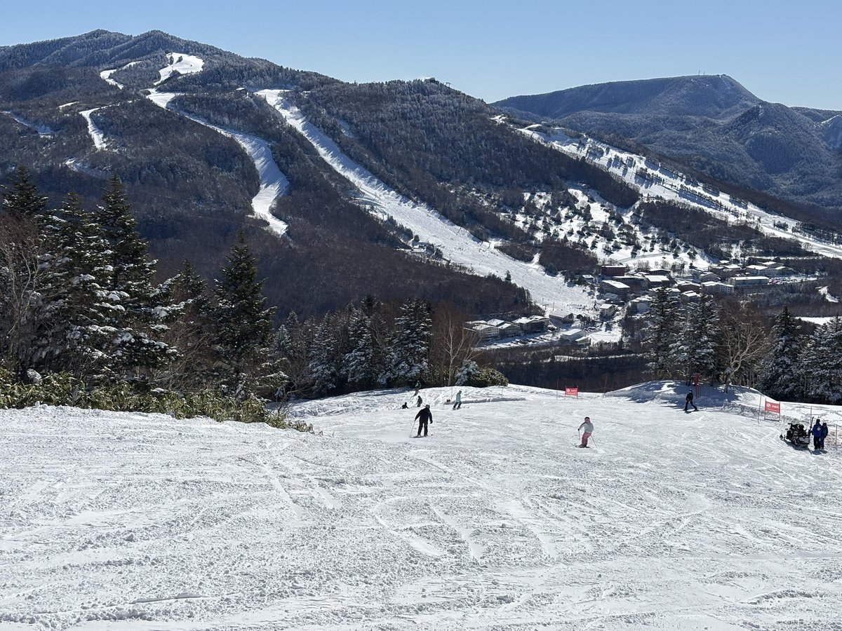 prkokudo's tweet photo. 今シーズン初滑りは焼額山から
降雪後の晴天で最高コンディションです
安全にいってきます

積雪山頂山麓ともに50cm https://t.co/50acxVfuT6