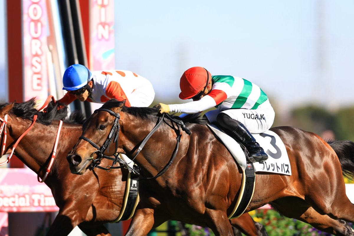 阪神4R 2歳未勝利 3番ブレットパスが直線で4番カフジエメンタールを