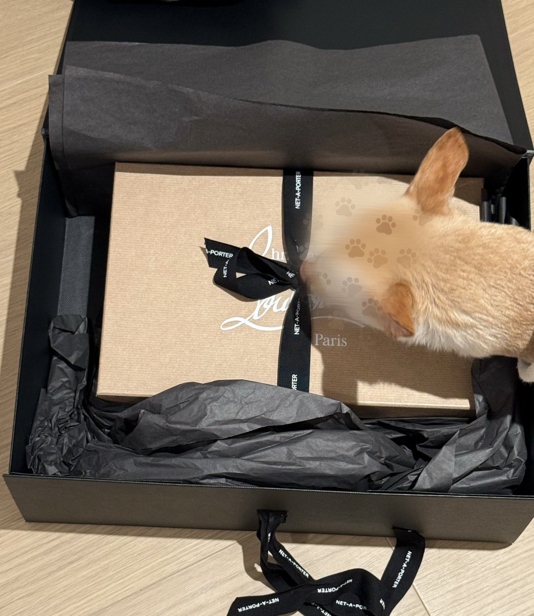 Sabine | NYC tweet media