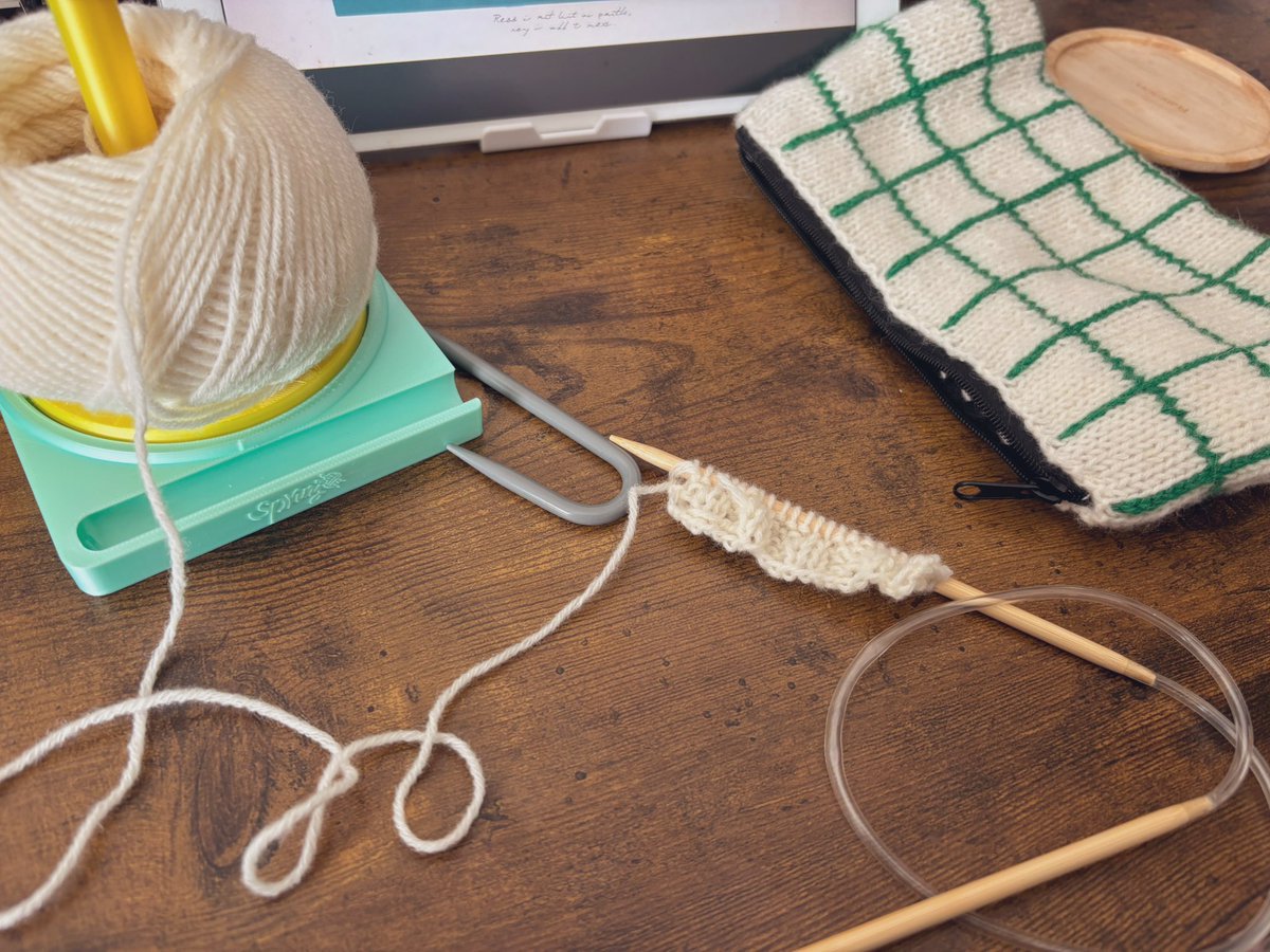 Mao_knitter's tweet photo. 久しぶりにダイソーの輪針🪡
縄あみの練習！
ヤーンホルダーのケース自作したらモチベ爆上がり😆✨️ https://t.co/rM1vVZeawI