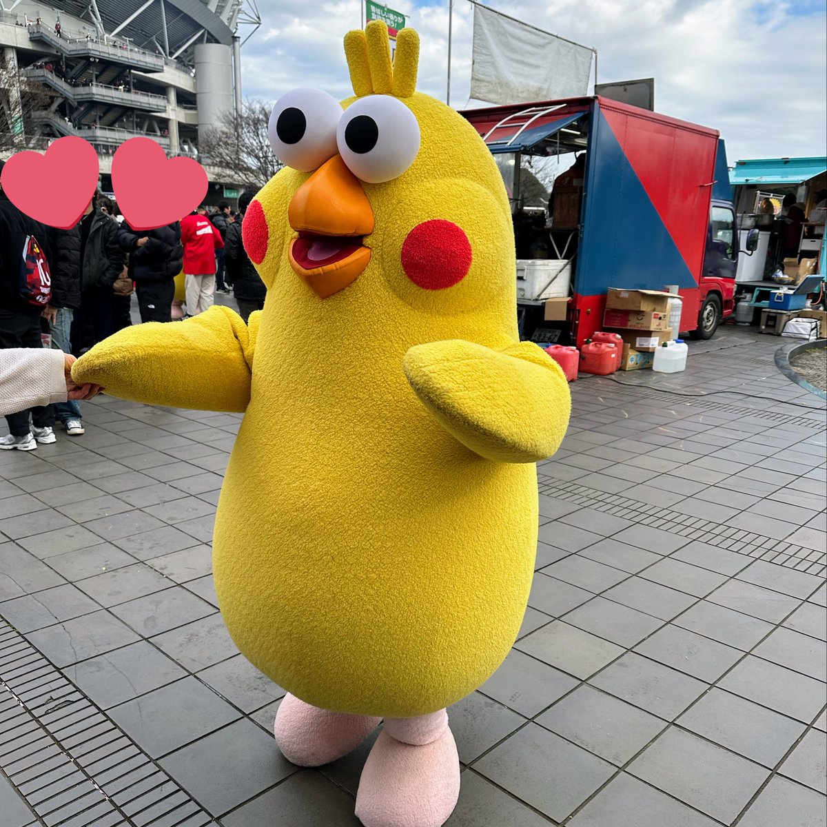 ポインコと山歩き🐥🐥🐾 (@paopaopanda_jp) / Posts / X