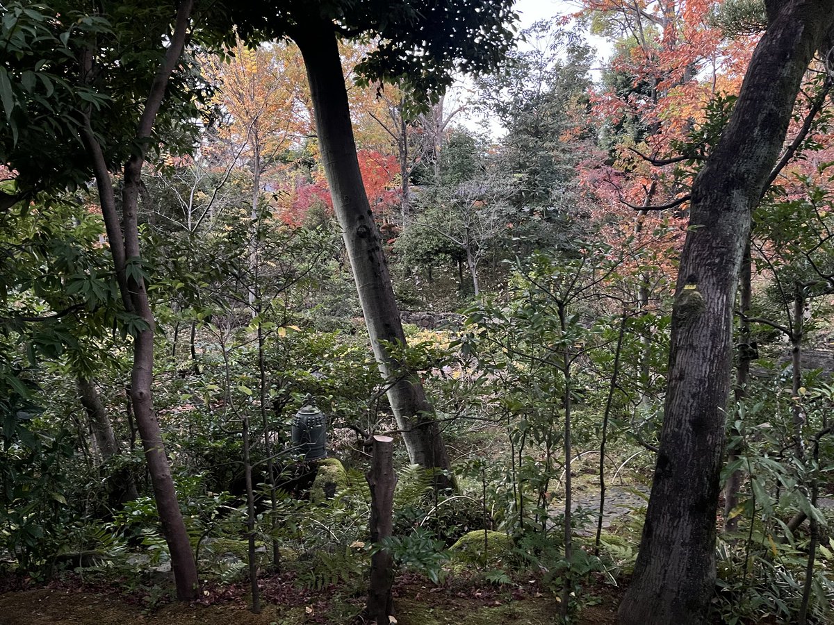 saito_akiko's tweet photo. 根津美術館の在原業平生誕1200年記念特別展「伊勢物語 美術が映す王朝の恋とうた」に伺えました。図録は学生たちに見せます。折しも、大好きな根津美術館のお庭の中で、茶庭が開放されており特別な時間になりました。#nezumuseum https://t.co/YYPYQDRhAV