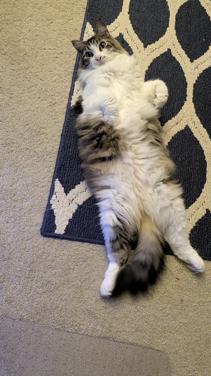 Lin (@liintama) on Twitter photo 