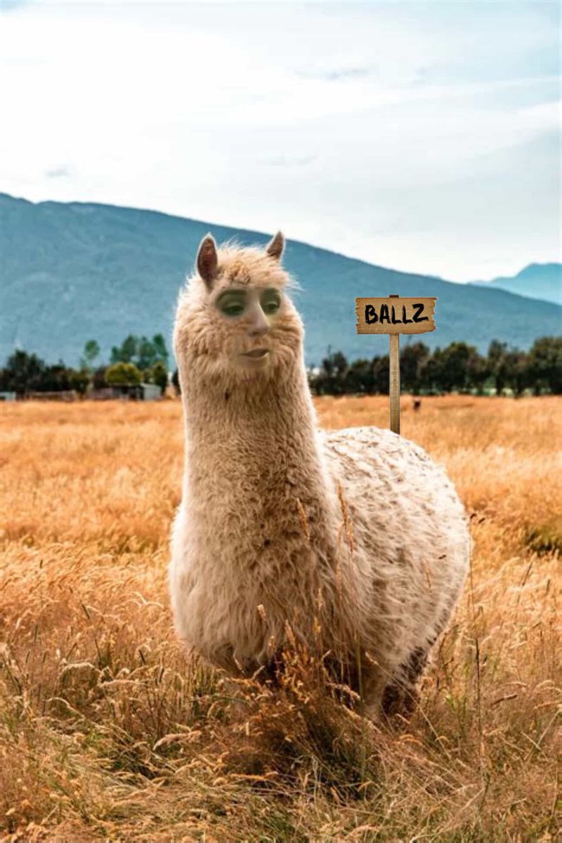 with_out_a_crystal_ballz tweet media
