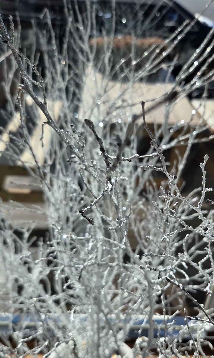 차가움도
갑작스러움도
혼란스러움도
새하얀 빛에
꽃처럼 활짝 핀
사랑을 품으면
무엇보다 더
아름다움이 피어날 거라
가끔은 그리 믿는다
각박한 세상에
한 줄기 빛처럼 믿는다
또 다른 약속을 믿는다

#오늘 #내일 #다음