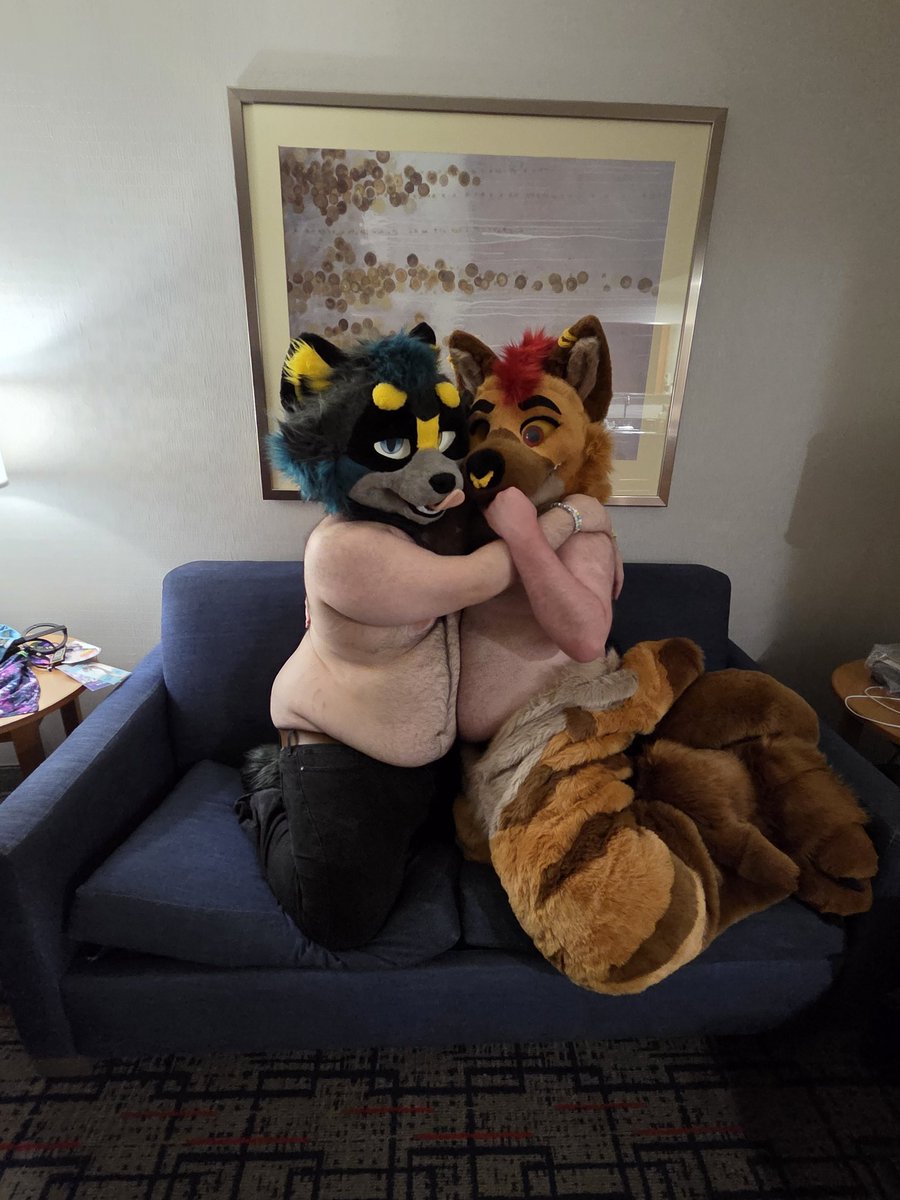 RacksTheRaccoon's tweet photo. Comparing bellies with @JasperYena who do you think is the winner? https://t.co/O8DhF59QBQ
