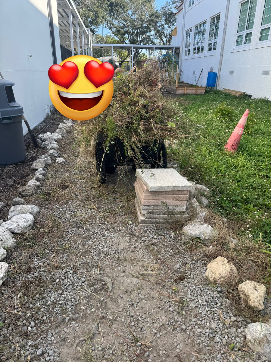 Sarah Gimmi, M.Ed tweet media