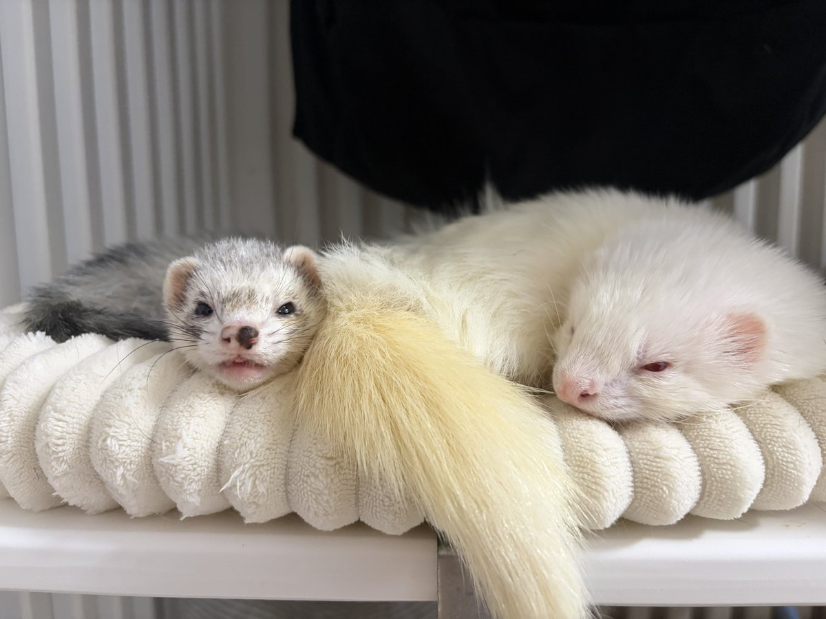 eri🌝𝕏 (@konnichihaaa11) / Posts / X