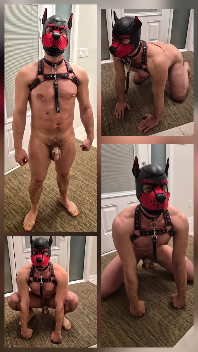 FetishJeef tweet media