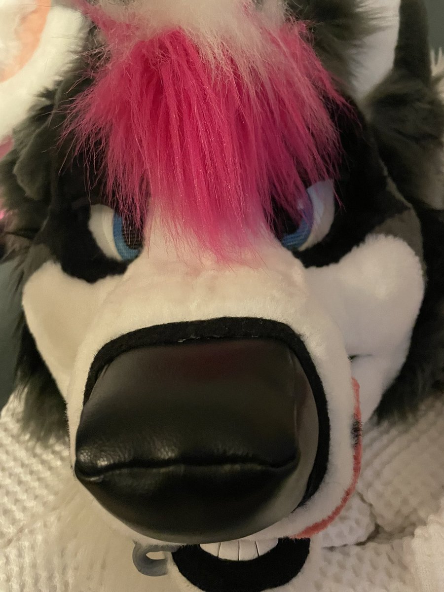 Rhux Collie tweet media