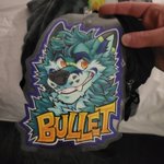 Photo by Bullet (@tealbluefox)